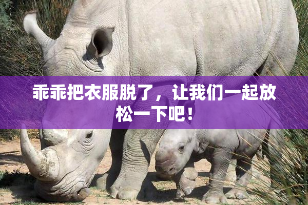 乖乖把衣服脱了，让我们一起放松一下吧！
