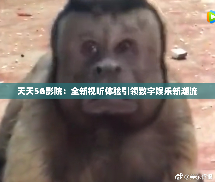 天天5G影院：全新视听体验引领数字娱乐新潮流