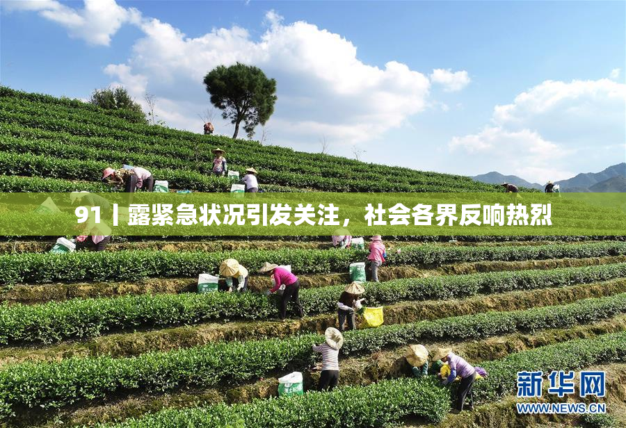 91丨露紧急状况引发关注，社会各界反响热烈