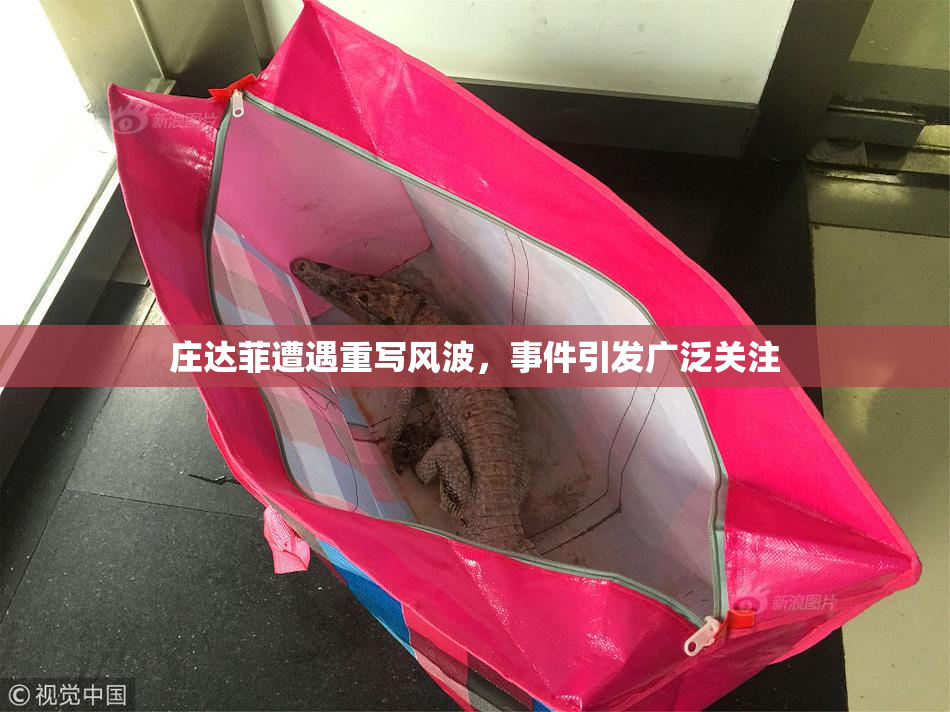 庄达菲遭遇重写风波，事件引发广泛关注