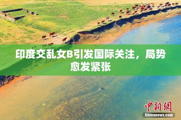 印度交乱女B引发国际关注，局势愈发紧张