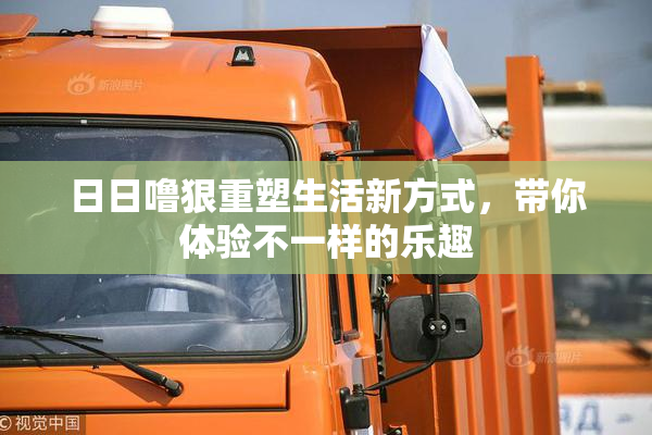 日日噜狠重塑生活新方式，带你体验不一样的乐趣