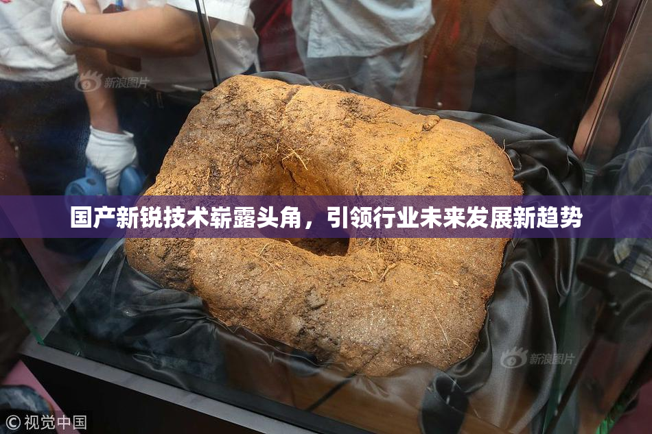 国产新锐技术崭露头角，引领行业未来发展新趋势