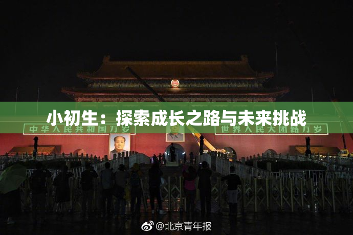 小初生：探索成长之路与未来挑战