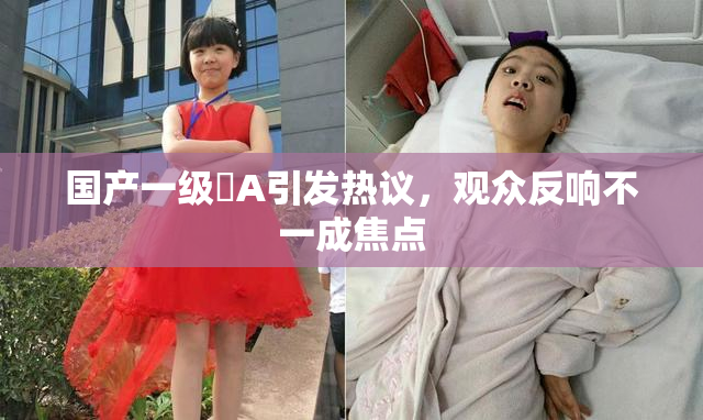 国产一级婬A引发热议，观众反响不一成焦点