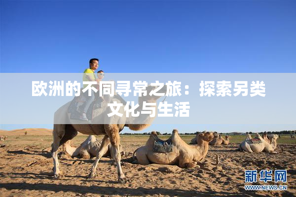 欧洲的不同寻常之旅：探索另类文化与生活