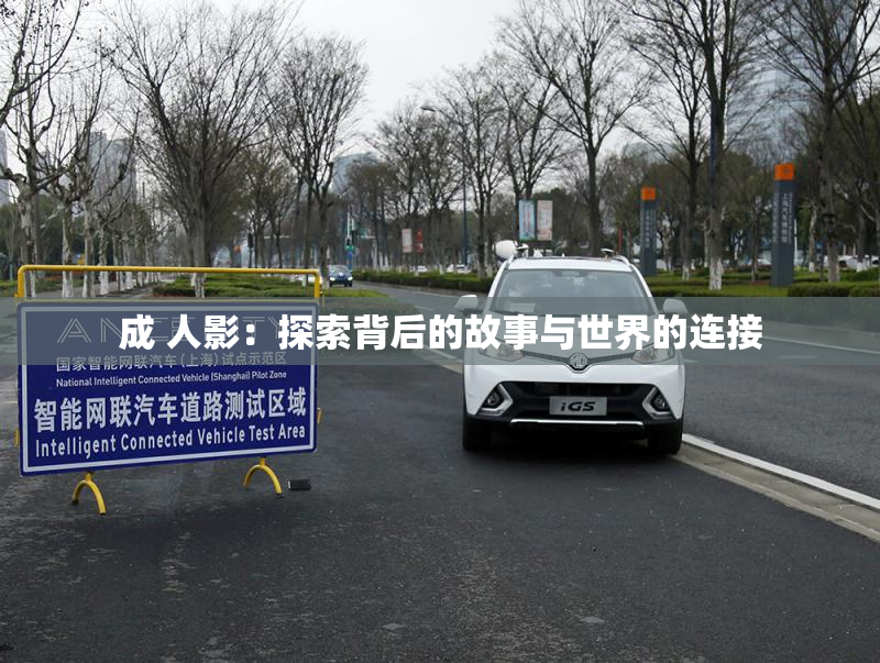 成 人影：探索背后的故事与世界的连接
