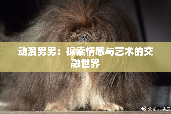 动漫男男：探索情感与艺术的交融世界