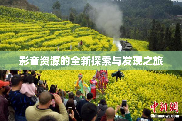 影音资源的全新探索与发现之旅