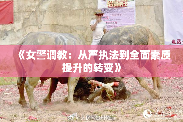 《女警调教：从严执法到全面素质提升的转变》
