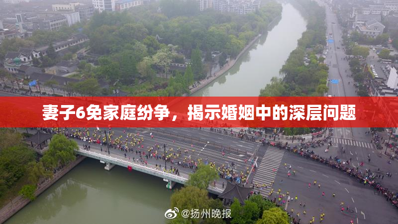 妻子6免家庭纷争，揭示婚姻中的深层问题