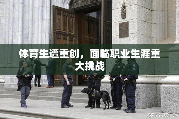 体育生遭重创，面临职业生涯重大挑战