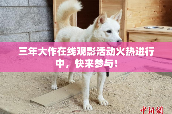 三年大作在线观影活动火热进行中，快来参与！