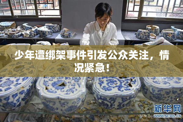 少年遭绑架事件引发公众关注，情况紧急！