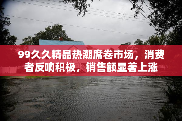 99久久精品热潮席卷市场，消费者反响积极，销售额显著上涨