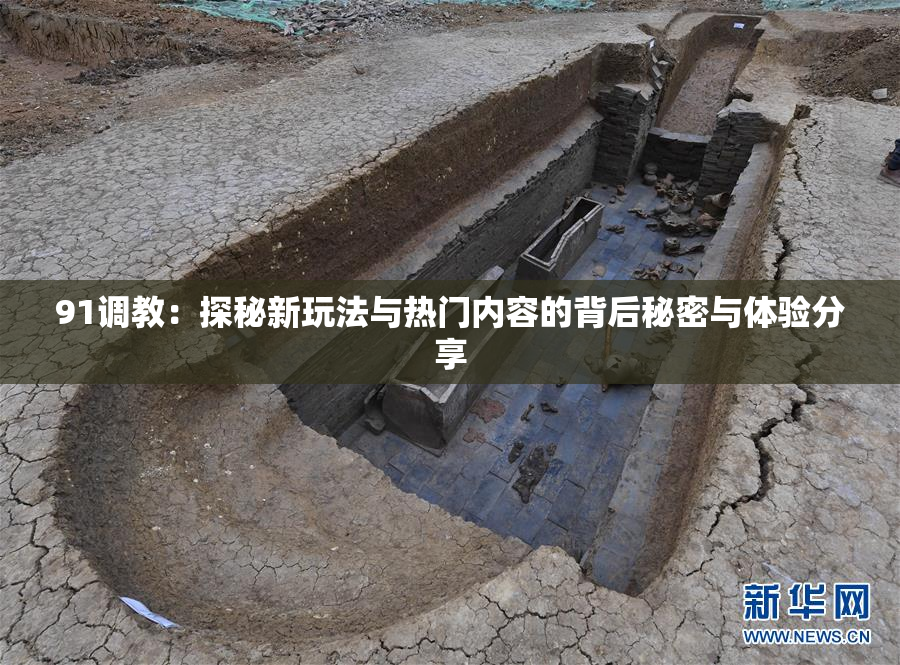 91调教：探秘新玩法与热门内容的背后秘密与体验分享