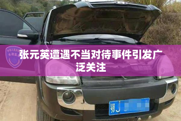 张元英遭遇不当对待事件引发广泛关注