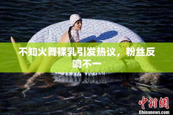 不知火舞裸乳引发热议，粉丝反响不一