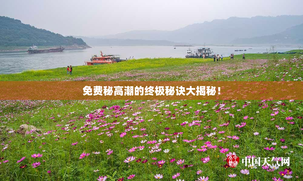免费秘高潮的终极秘诀大揭秘！