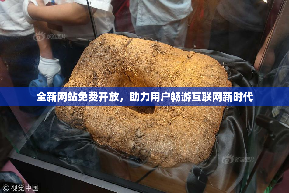 全新网站免费开放，助力用户畅游互联网新时代
