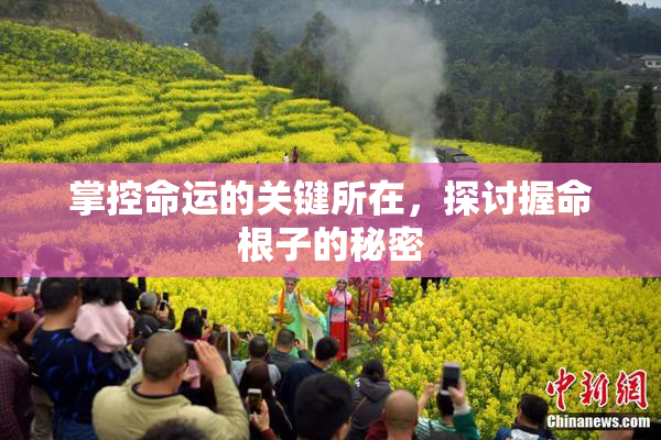 掌控命运的关键所在，探讨握命根子的秘密