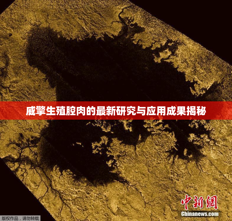 威擎生殖腔肉的最新研究与应用成果揭秘