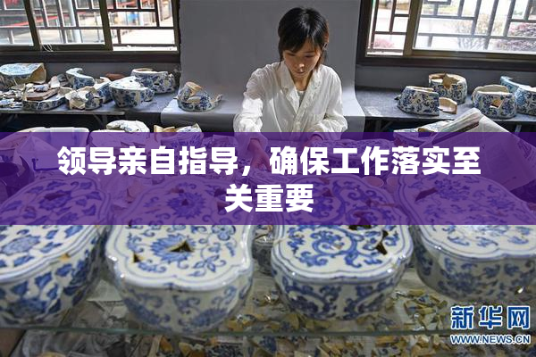 领导亲自指导，确保工作落实至关重要