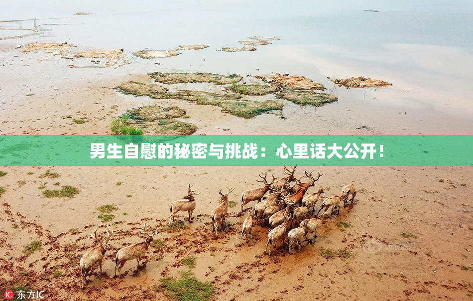 男生自慰的秘密与挑战：心里话大公开！