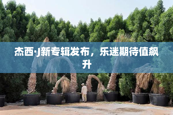 杰西·J新专辑发布，乐迷期待值飙升