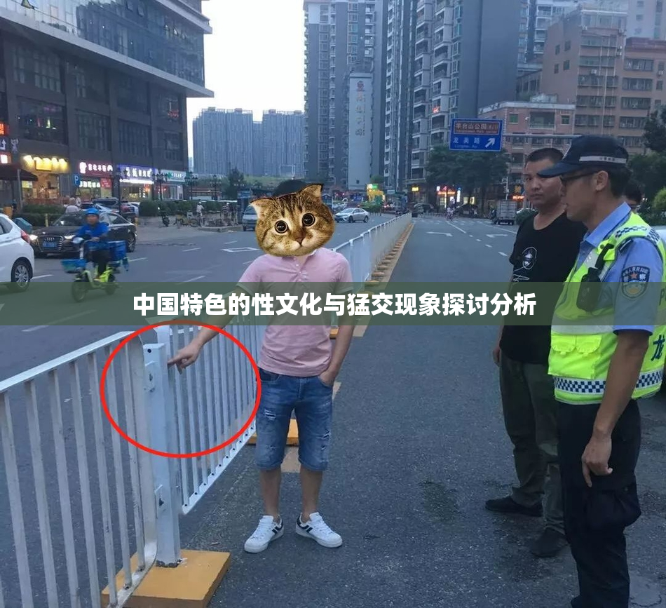 中国特色的性文化与猛交现象探讨分析