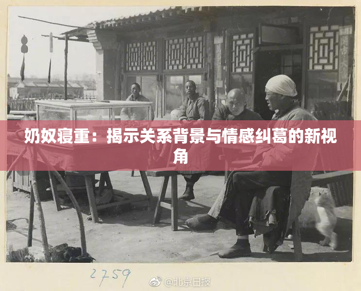 奶奴寝重：揭示关系背景与情感纠葛的新视角