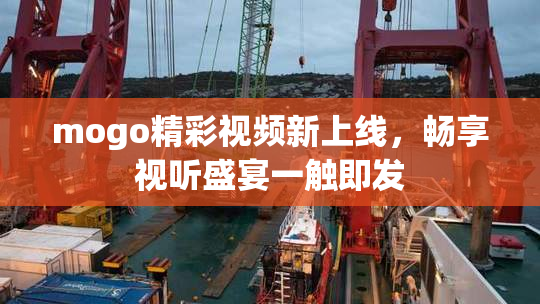 mogo精彩视频新上线，畅享视听盛宴一触即发