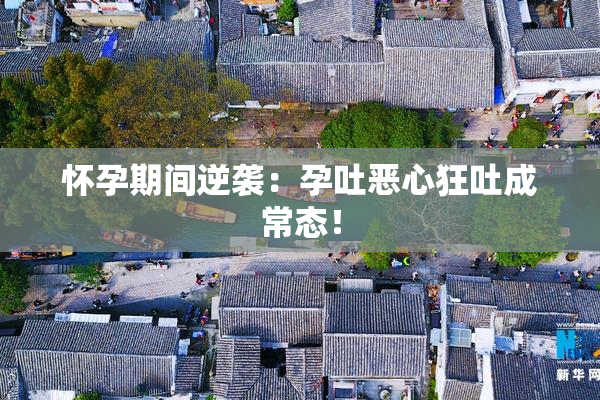 怀孕期间逆袭：孕吐恶心狂吐成常态！