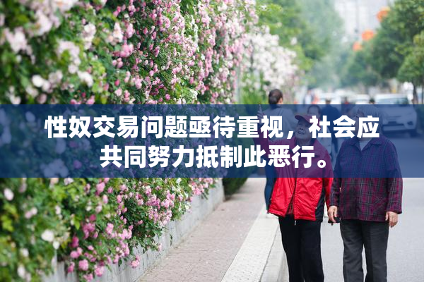 性奴交易问题亟待重视，社会应共同努力抵制此恶行。