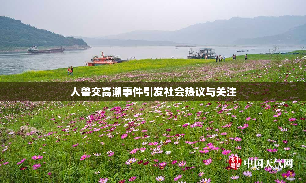 人兽交高潮事件引发社会热议与关注