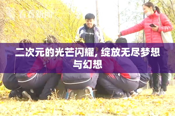二次元的光芒闪耀, 绽放无尽梦想与幻想