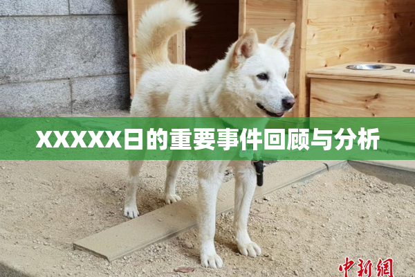 XXXXX日的重要事件回顾与分析