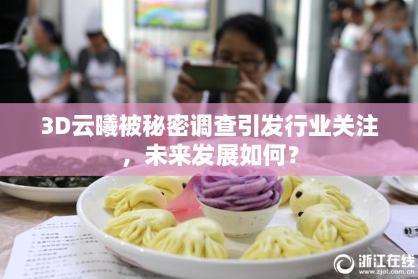 3D云曦被秘密调查引发行业关注，未来发展如何？
