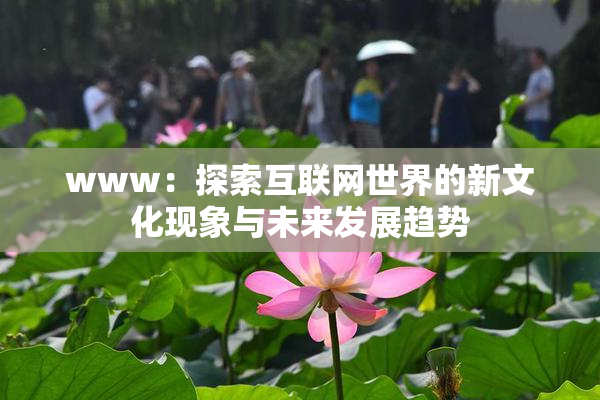 www：探索互联网世界的新文化现象与未来发展趋势