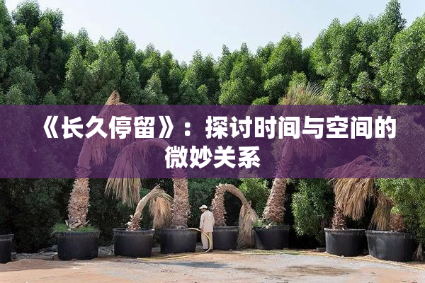 《长久停留》：探讨时间与空间的微妙关系