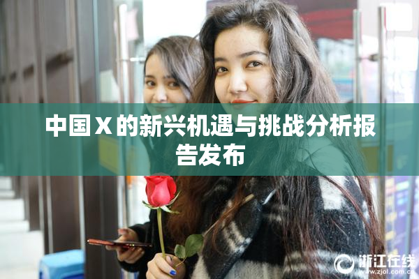 中国Ⅹ的新兴机遇与挑战分析报告发布