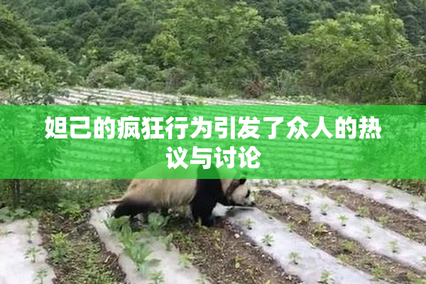 妲己的疯狂行为引发了众人的热议与讨论