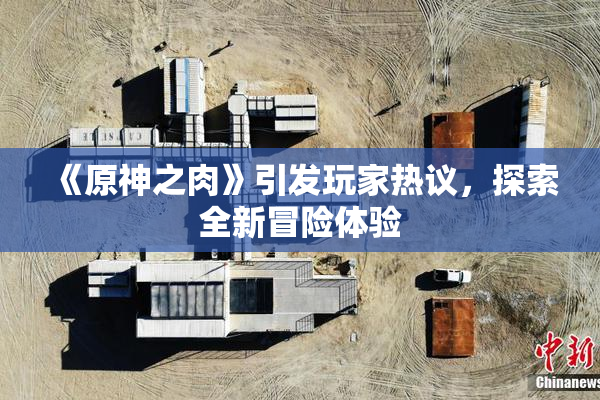 《原神之肉》引发玩家热议，探索全新冒险体验