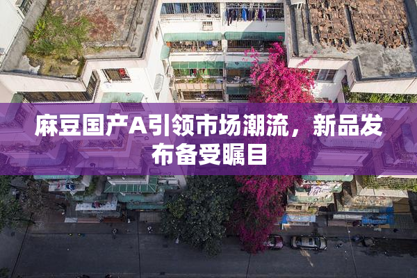 麻豆国产A引领市场潮流，新品发布备受瞩目