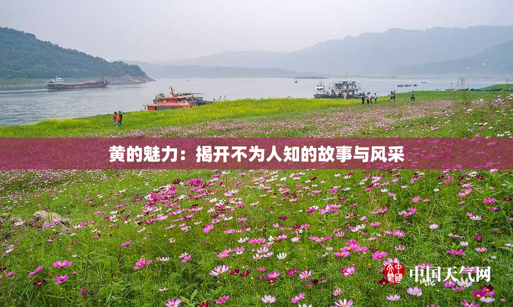 黄的魅力：揭开不为人知的故事与风采