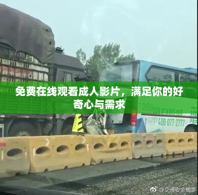 免费在线观看成人影片，满足你的好奇心与需求