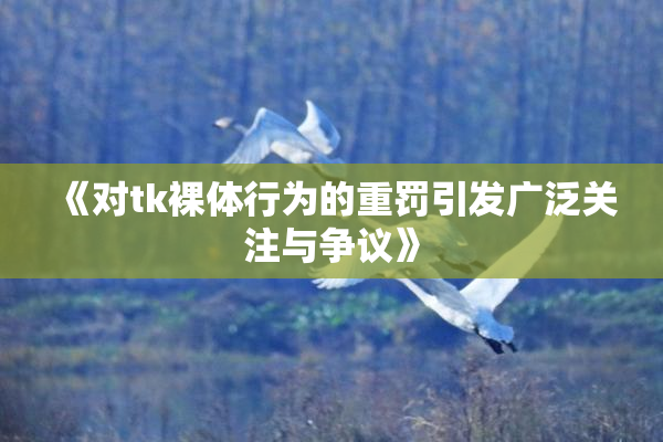 《对tk裸体行为的重罚引发广泛关注与争议》