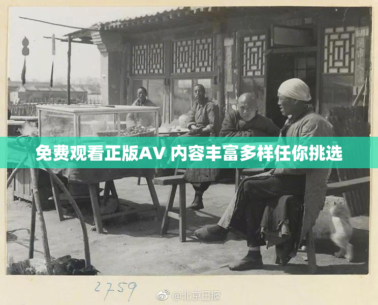 免费观看正版AV 内容丰富多样任你挑选