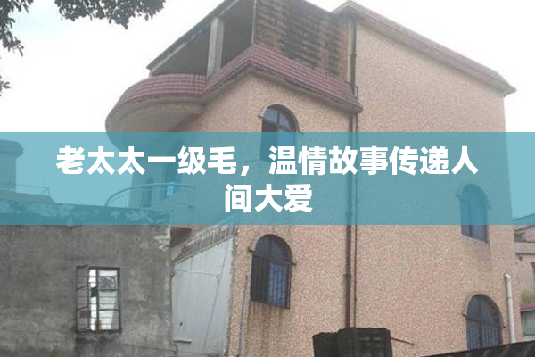 老太太一级毛，温情故事传递人间大爱