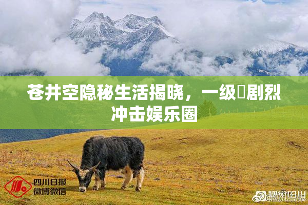 苍井空隐秘生活揭晓，一级婬剧烈冲击娱乐圈